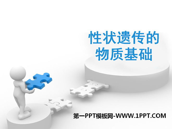 《性状遗传的物质基础》PPT
