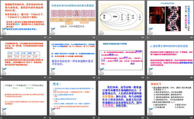 《性状遗传的物质基础》PPT