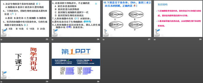 《性状遗传的物质基础》PPT