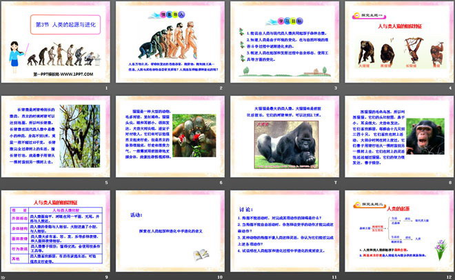 《人类的起源和进化》PPT课件