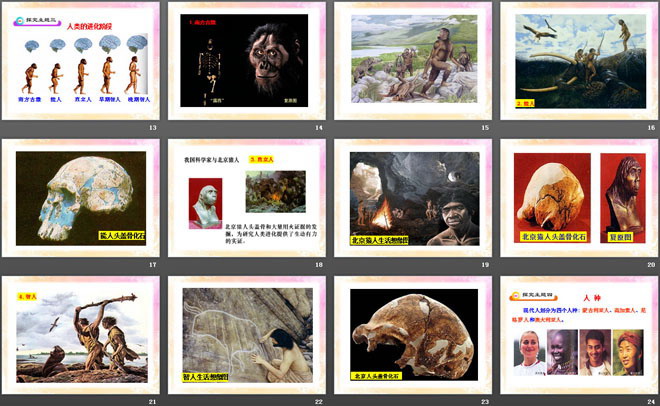 《人类的起源和进化》PPT课件