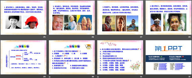 《人类的起源和进化》PPT课件
