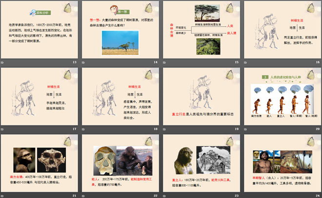 《人类的起源和进化》PPT下载