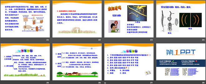 《动物的主要类群》PPT