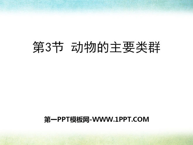 《动物的主要类群》PPT课件下载