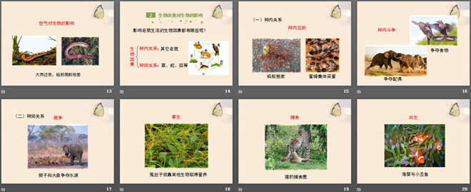 《生物的生存依赖一定的环境》PPT