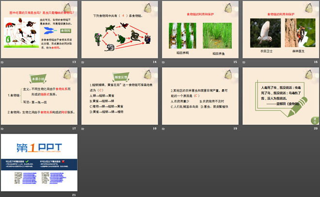 《生态系统的结构和功能》PPT下载