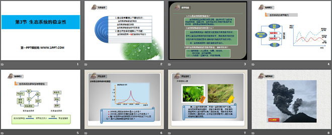 《生态系统的稳定性》PPT课件