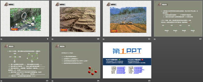 《生态系统的稳定性》PPT课件