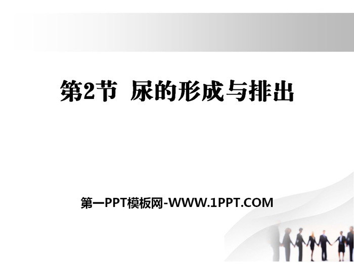 《尿的形成与排出》PPT下载
