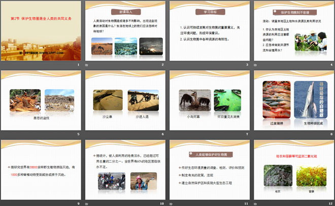 《保护生物圈是全人类的共同义务》PPT课件下载