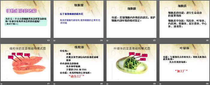 《植物细胞结构和功能》PPT课件