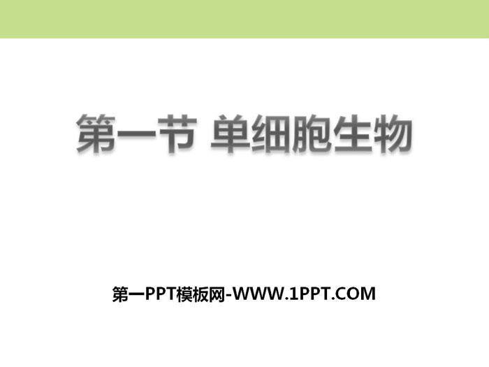 《单细胞生物》PPT课件