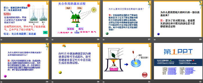 《植物光合作用的实质》PPT课件