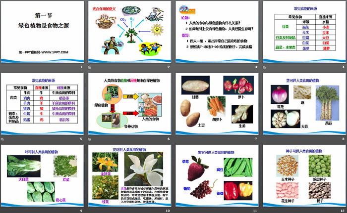 《绿色植物是食物之源》PPT课件
