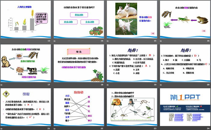 《绿色植物是食物之源》PPT课件