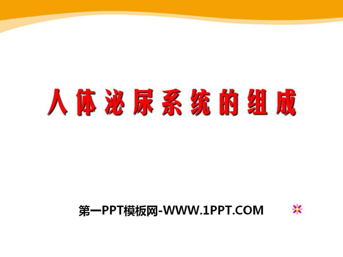 《人体泌尿系统的组成》PPT