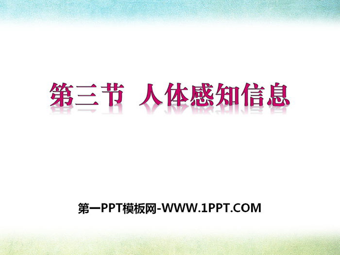 《人体的感知信息》PPT