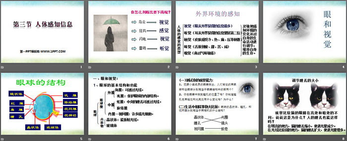 《人体的感知信息》PPT