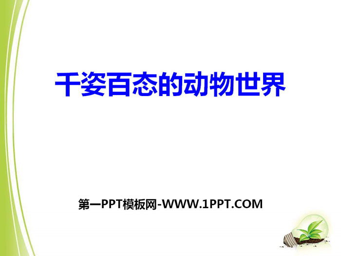 《千姿百态的动物世界》PPT课件