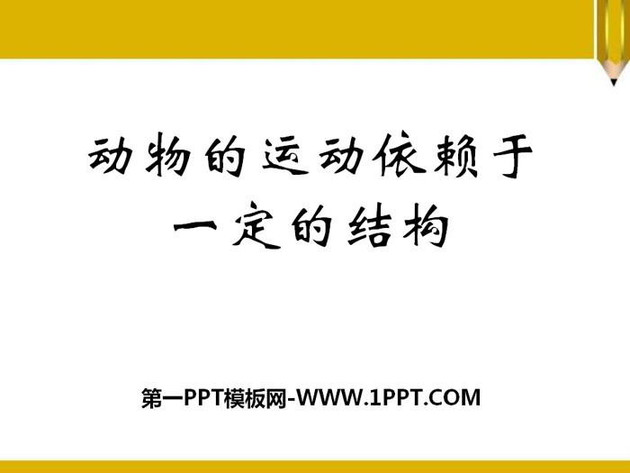 《动物的运动依赖一定的结构》PPT课件