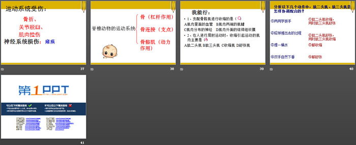 《动物的运动依赖一定的结构》PPT课件