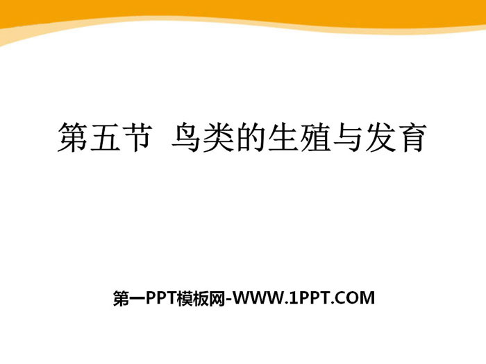 《鸟类的生殖与发育》PPT