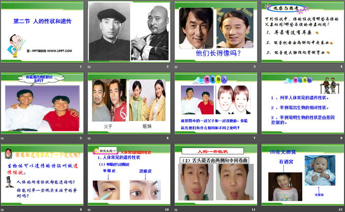 《人的性状和遗传》PPT