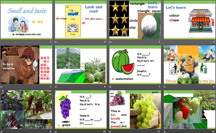 《Smell and taste》PPT