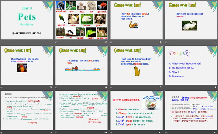 《Pets》RevisionPPT