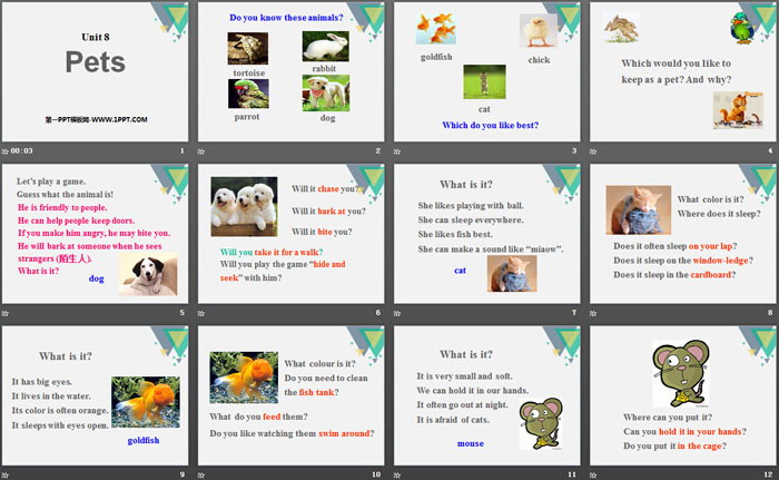 《Pets》PPT