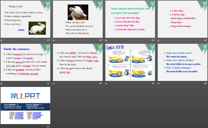 《Pets》PPT