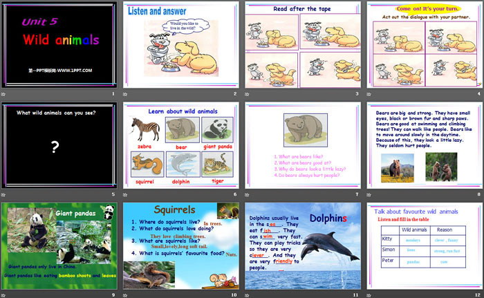 《Wild animals》PPT
