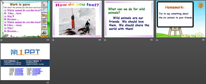 《Wild animals》PPT