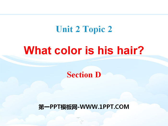 《What color is his hair?》SectionD PPT