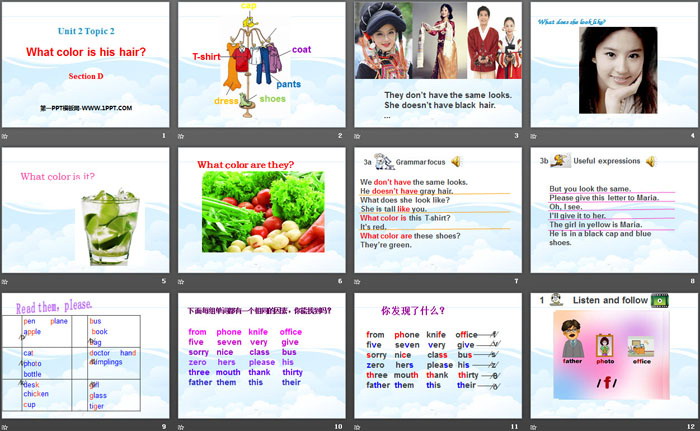 《What color is his hair?》SectionD PPT