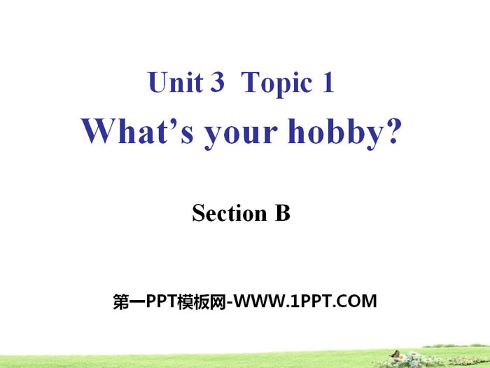 《What\s your hobby?》SectionB PPT