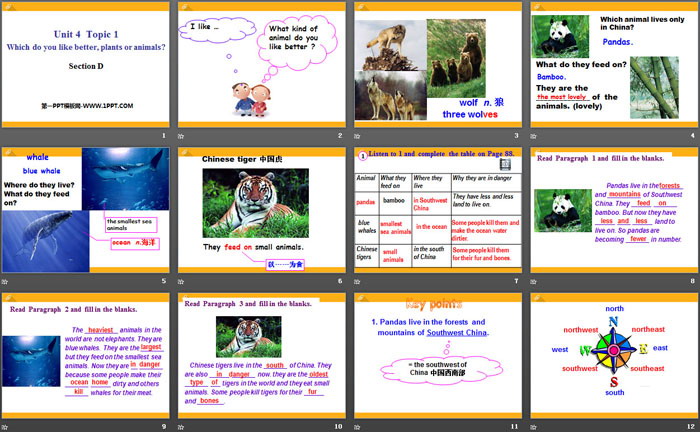 《Which do you like betterplants or animals?》SectionD PPT