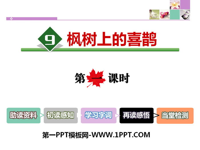 《枫树上的喜鹊》PPT课件(第一课时)