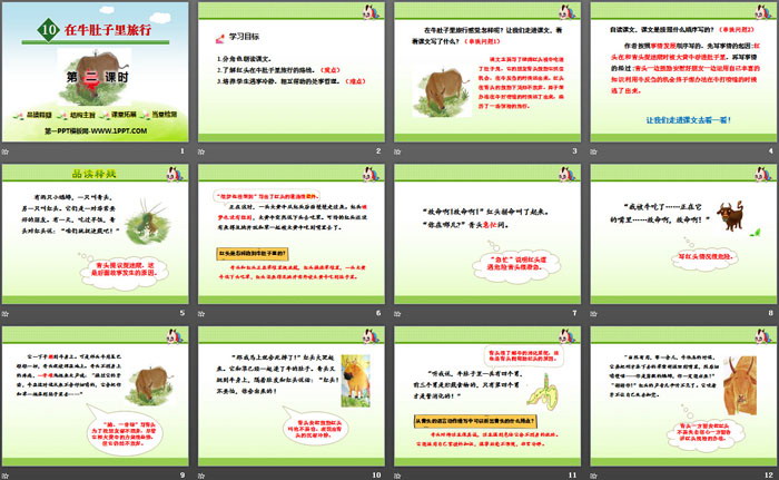 《在牛肚子里旅行》PPT(第二课时)