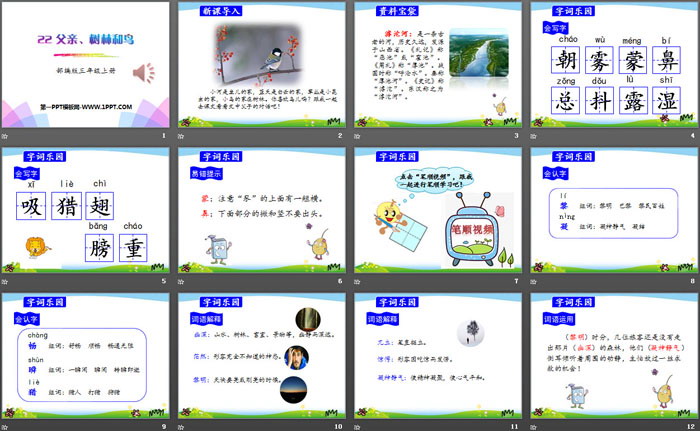《父亲、树林和鸟》PPT