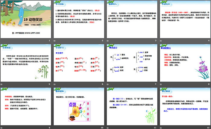 《动物笑谈》PPT