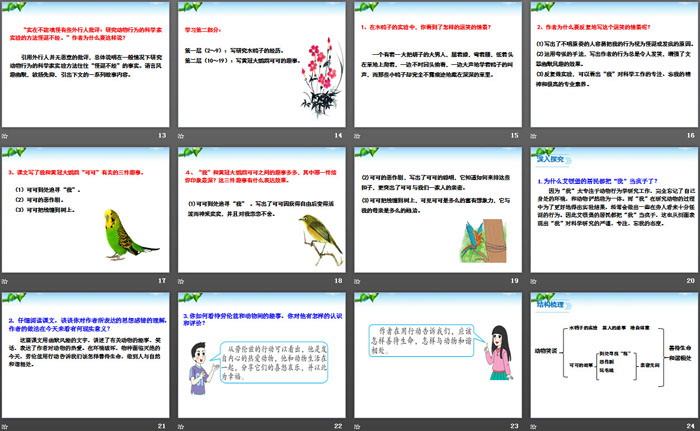 《动物笑谈》PPT