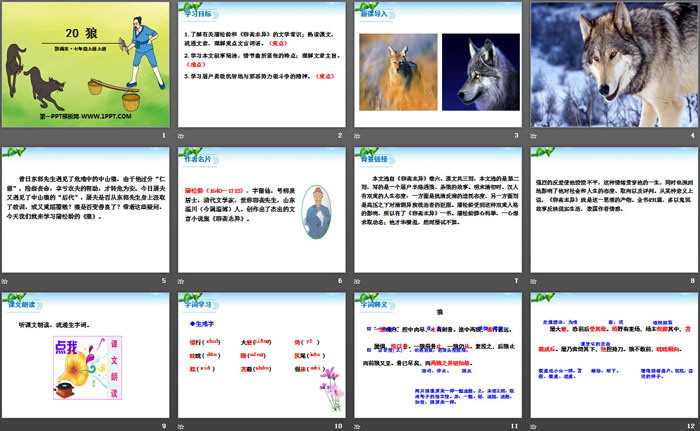 《狼》PPT