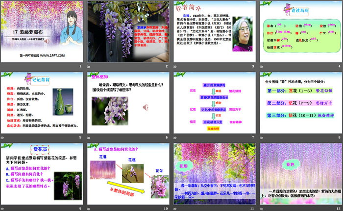 《紫藤萝瀑布》PPT