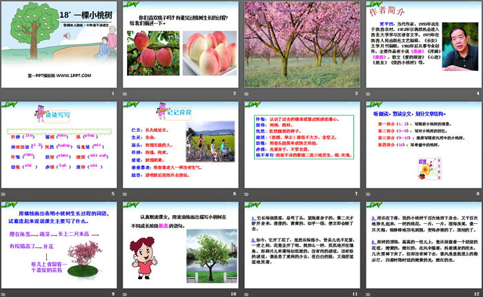 《一棵小桃树》PPT