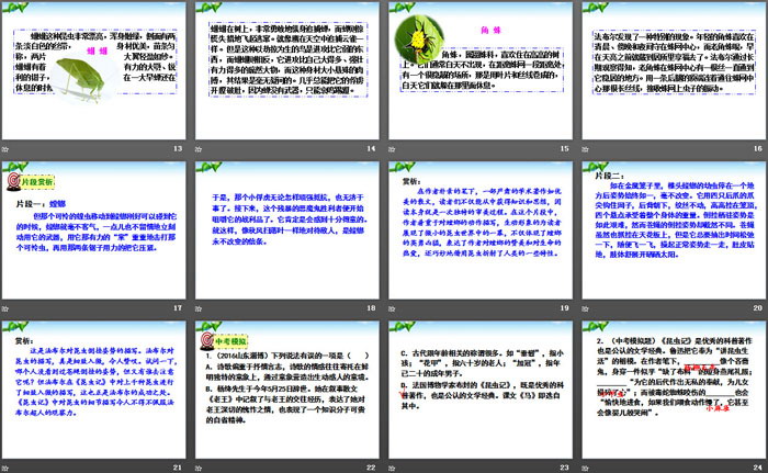 《昆虫记》PPT