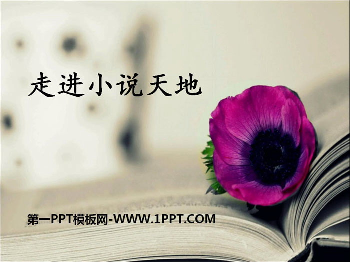 《走进小说天地》PPT