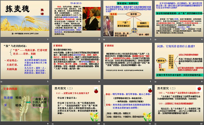 《拣麦穗》PPT