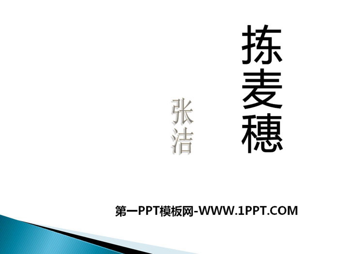 《拣麦穗》PPT课件
